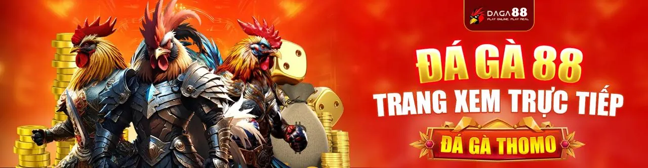 Đá Gà Trực Tuyến 20m