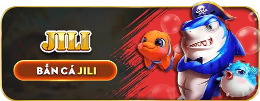Đá gà 20m